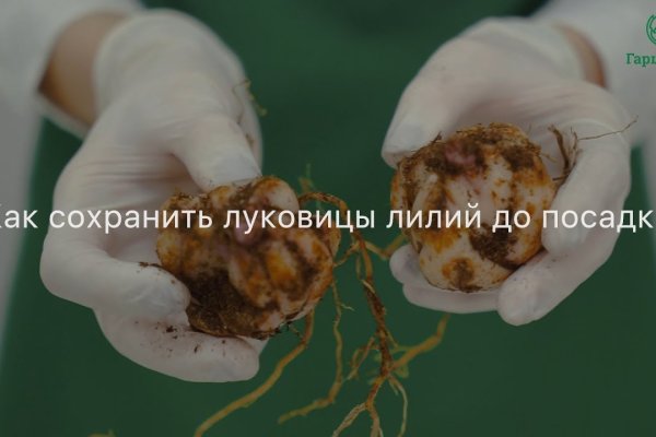 Кракен черный сайт