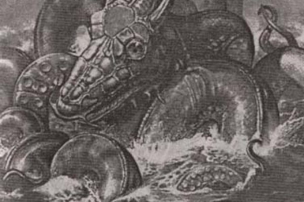 Kraken kraken link24 info