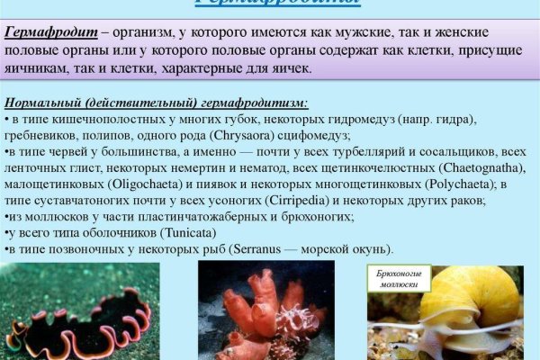 Гидра сайт в тор браузере ссылка