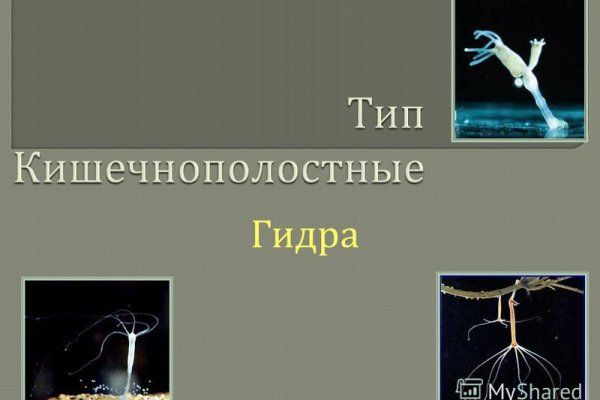 Кракен сайт маркетплейс ссылка