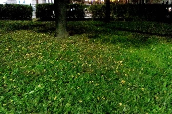 Ссылка на кракен не работает