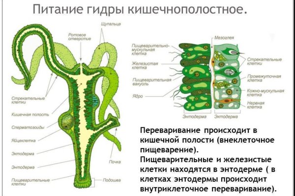 Ссылки на кракен мегу