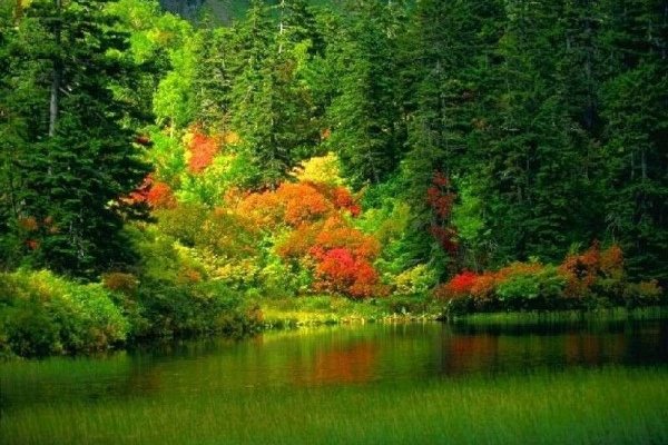 Что с кракеном сегодня сайт