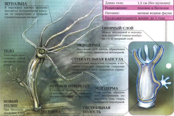 Kraken торговая площадка ссылка