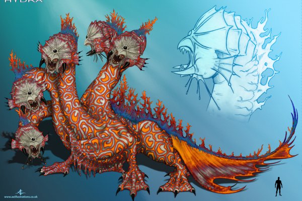 Как найти kraken