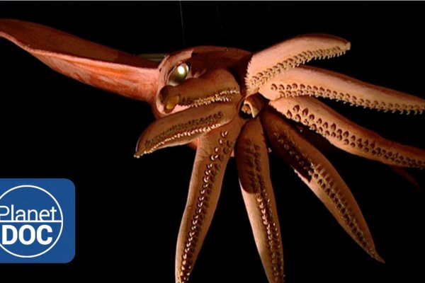 Кракен сайт магазин kraken clear com