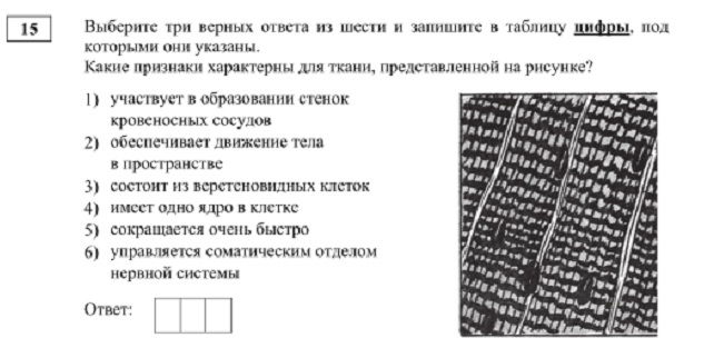 Kraken смылка