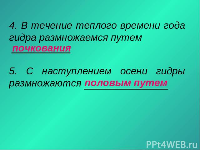 Вход в кракен чтобы купить меф